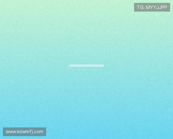 高效整理装备的技巧与方法，提升你的生活与工作效率